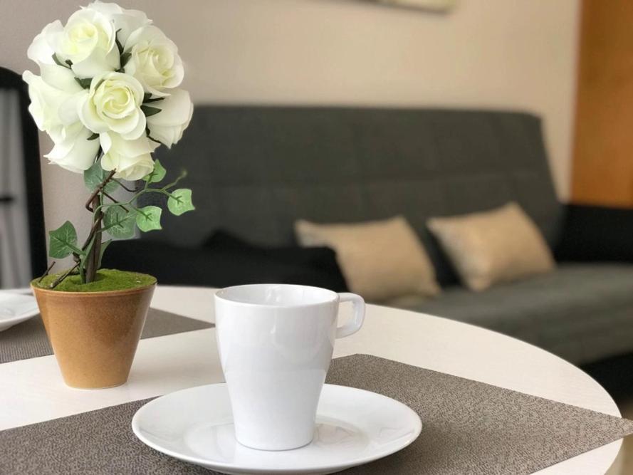 Del Cura Beach Apartment ตอร์เรเวียคา ภายนอก รูปภาพ